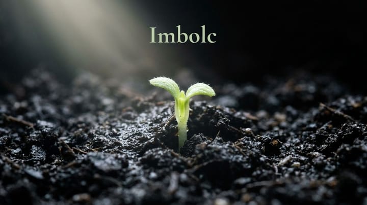 Imbolc / First Stirring